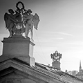 RoofVienna