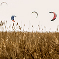 Breitenbrunn, Lake Neusiedl, Austria